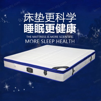 深圳凯亚家居 路尔曼尼软床床垫保护垫榻榻米水洗防滑床垫