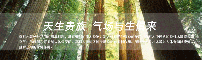 碳烧木木凉亭就选香河布卢斯户外休闲家具​