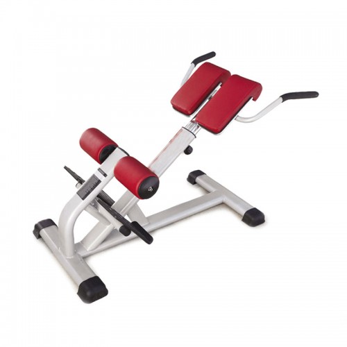 香河商用罗马椅 腰部背肌训练器价格B5530