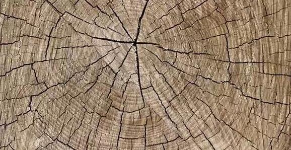 是什么原因导致老榆木家具开裂？