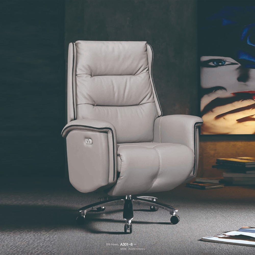 A301-8 电动功能椅