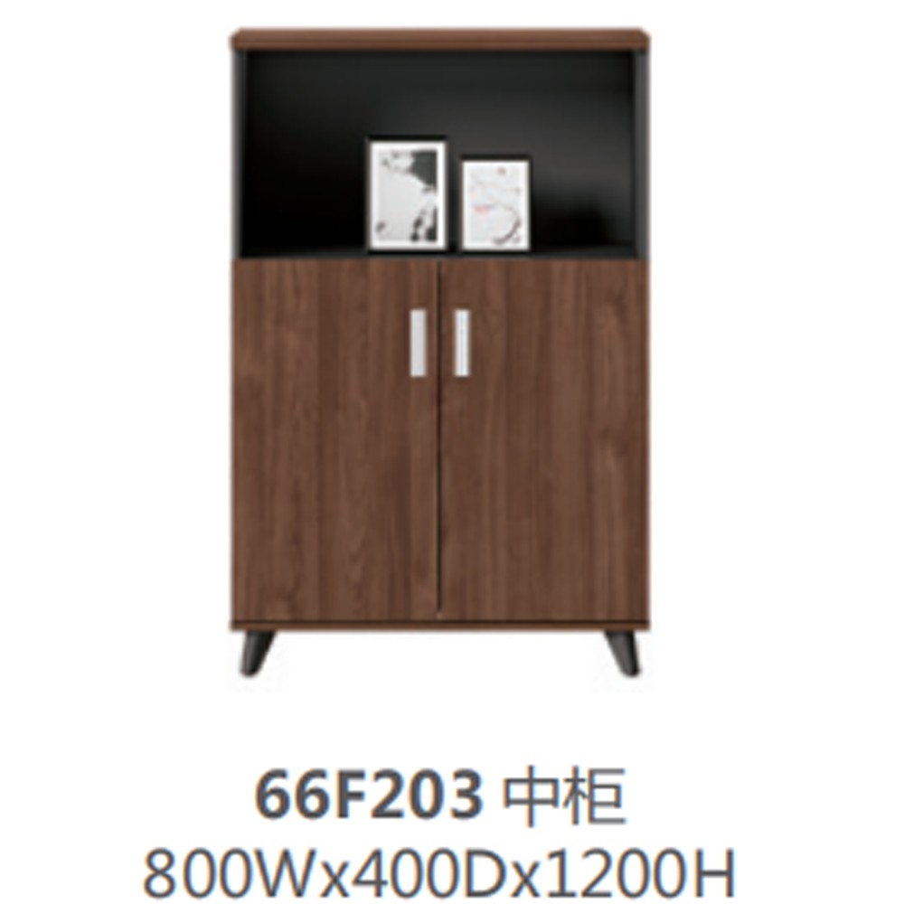 66F203 中柜