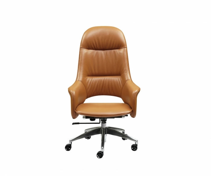 流行轻奢BV01系列旋转书椅