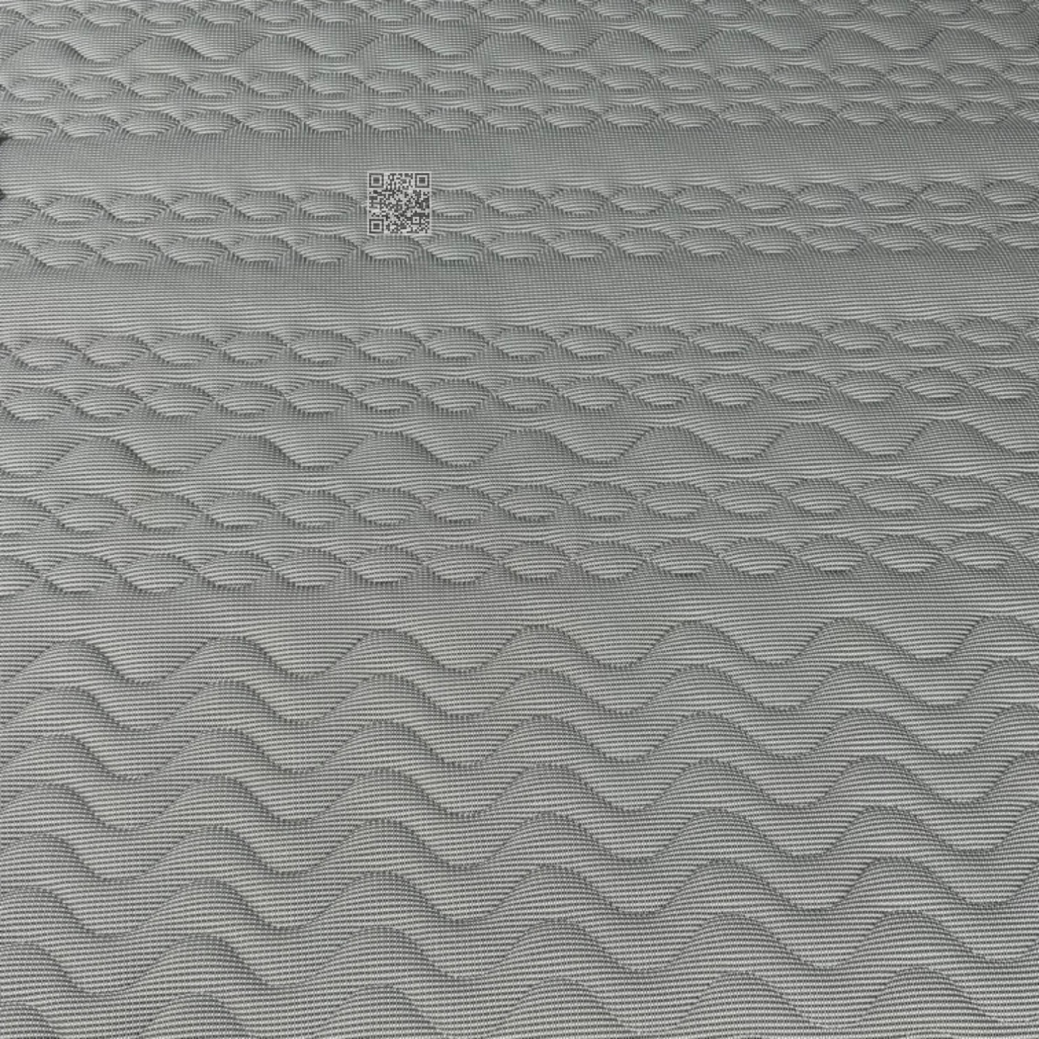 尼斯