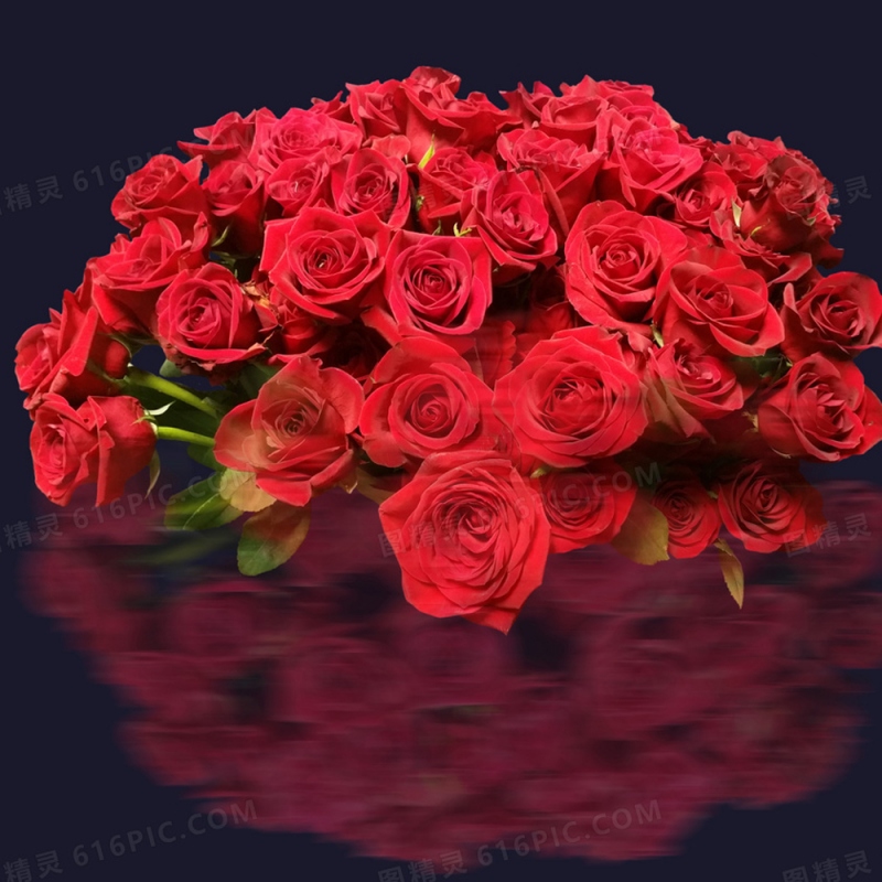 4 玫瑰花