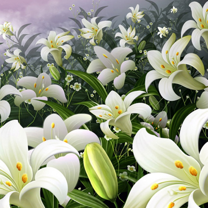18 百合花