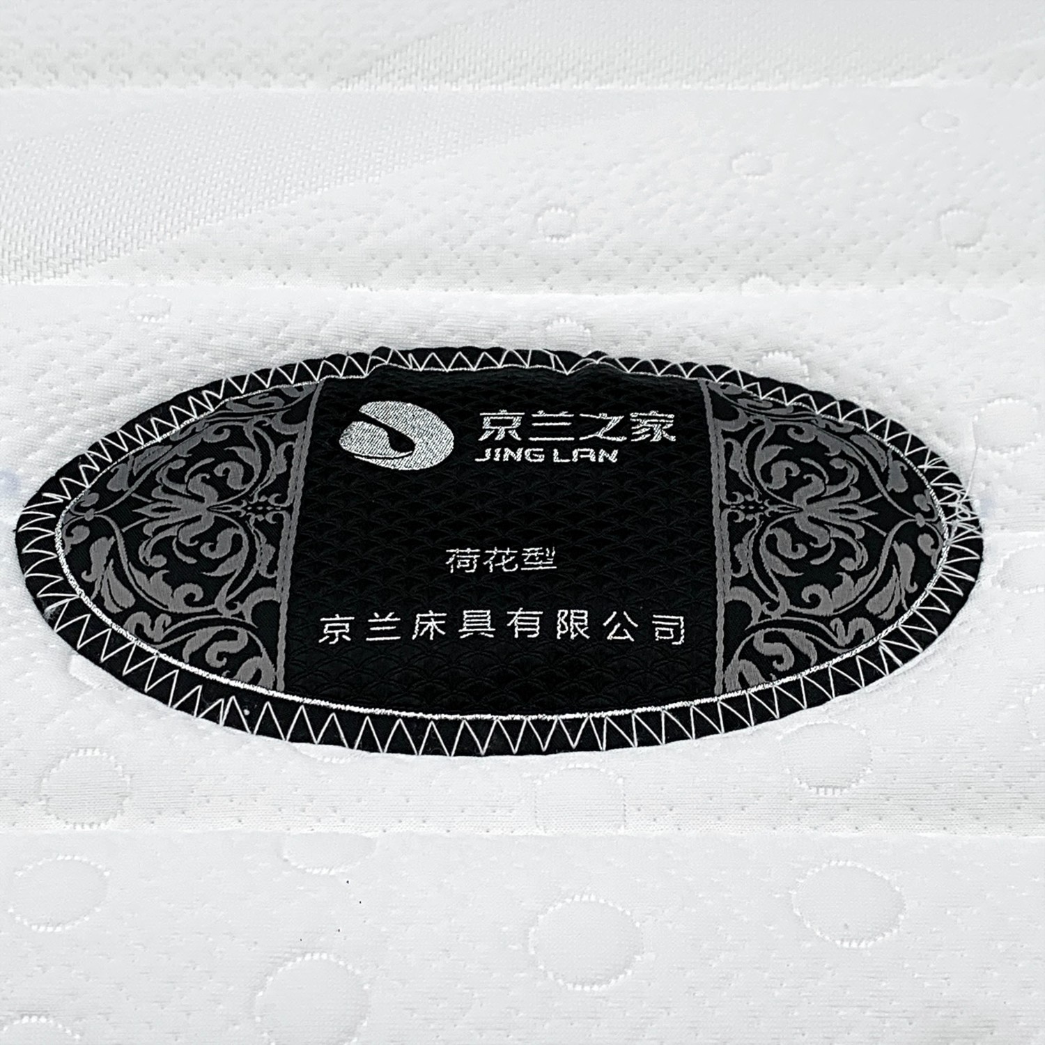 B荷花