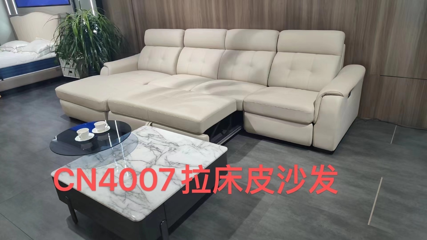 CN4007拉床沙发