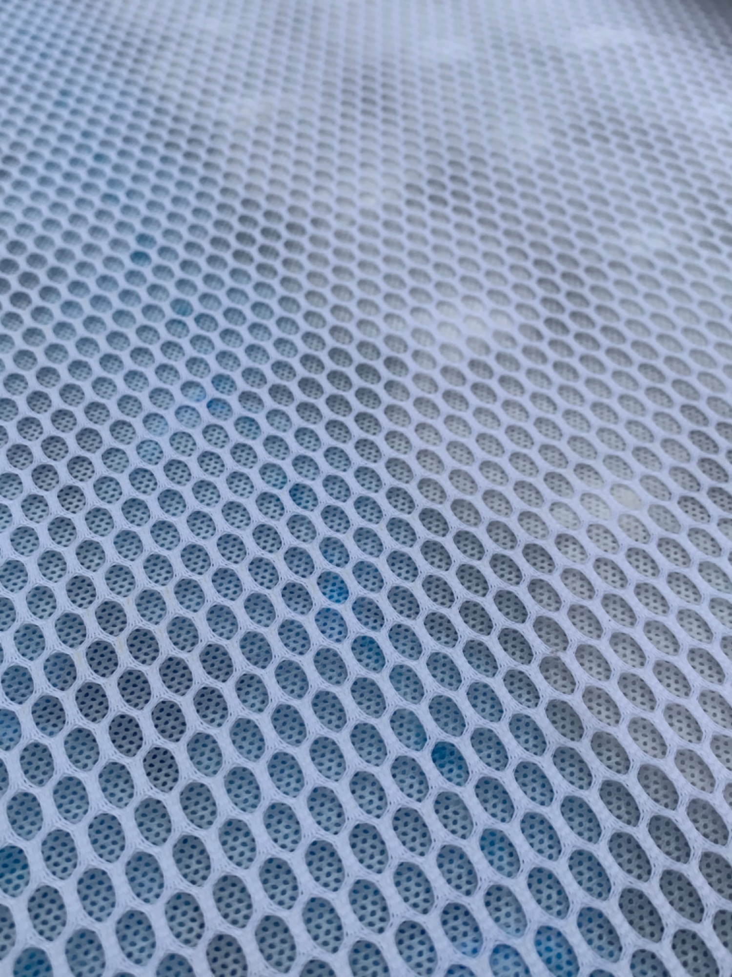 月季型