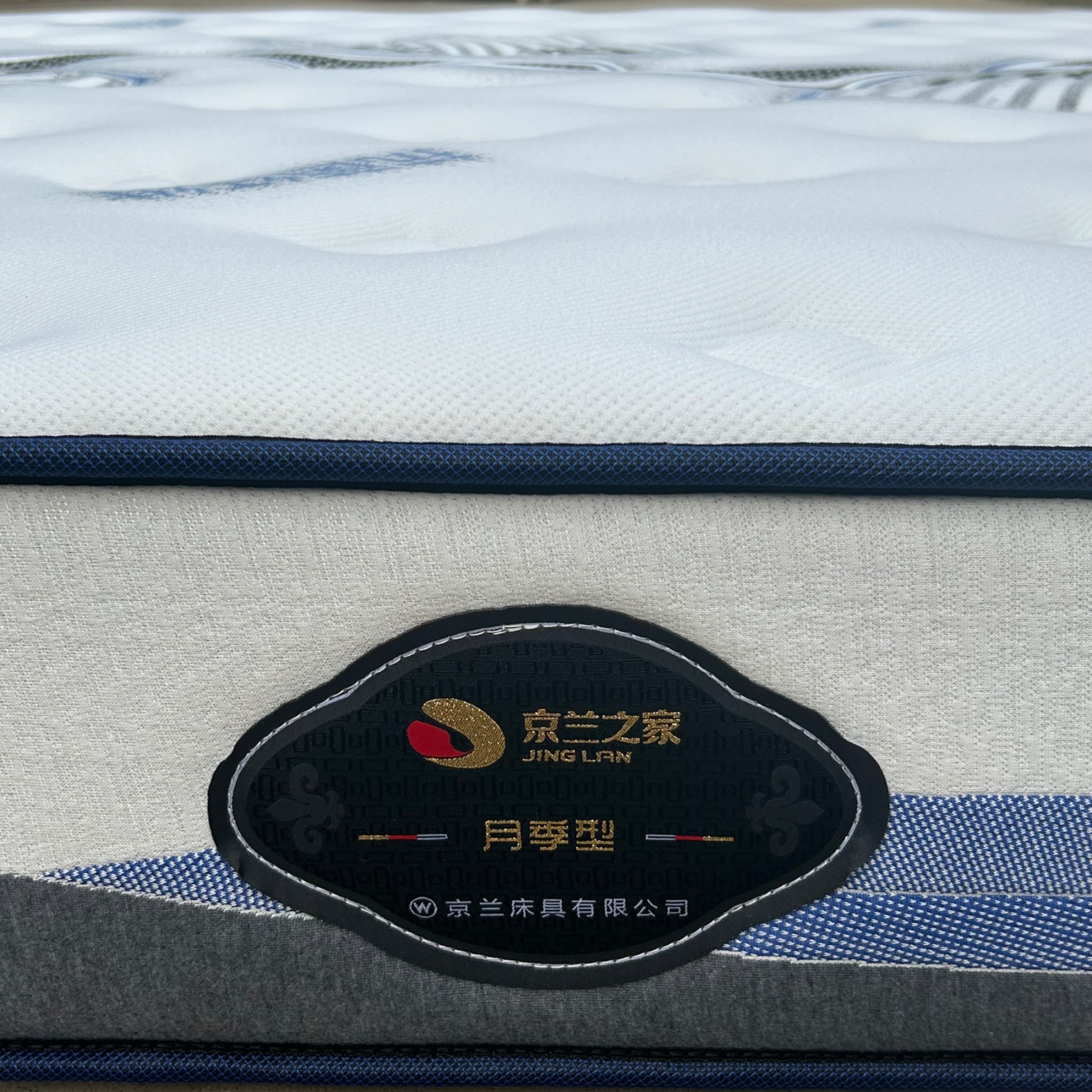 B月季