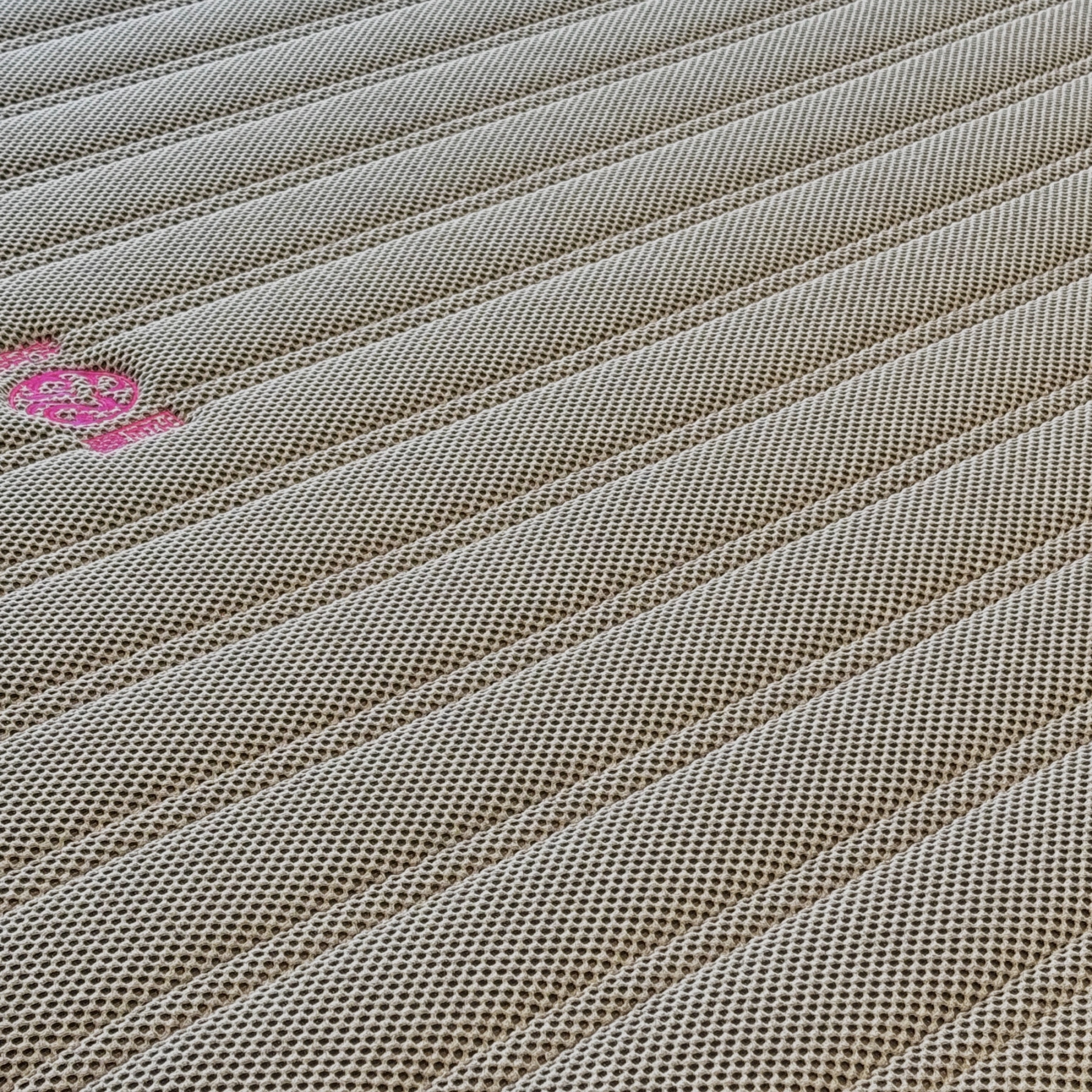 棕运