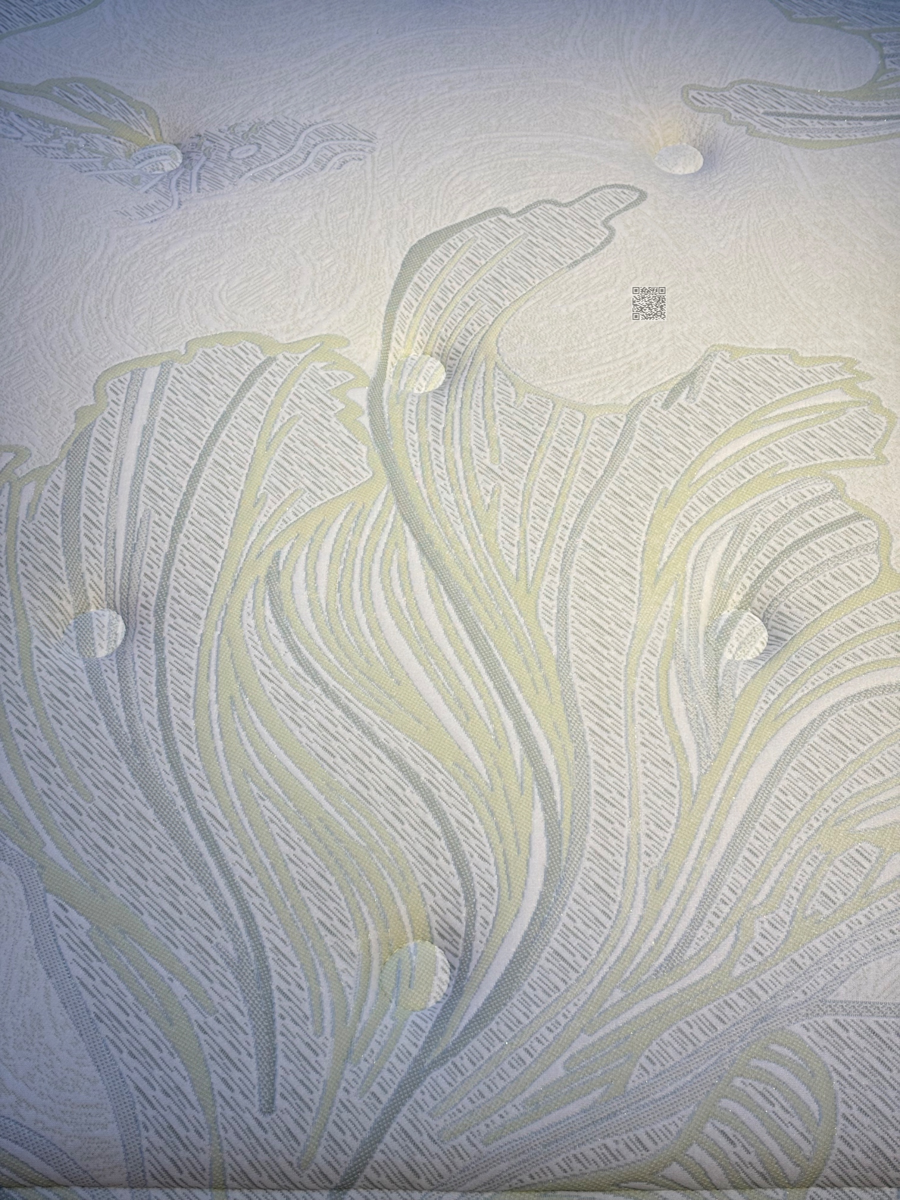 星禾 星禾