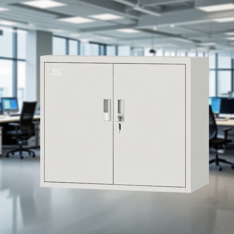 WJ-65  铁门单节矮柜