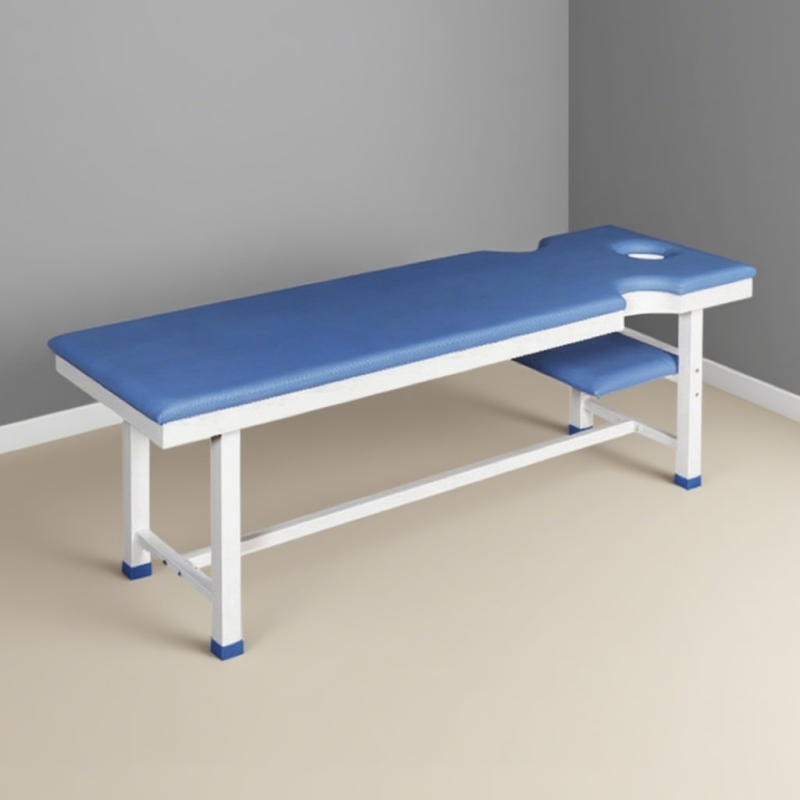 ZLC-20 单杠带孔按摩床