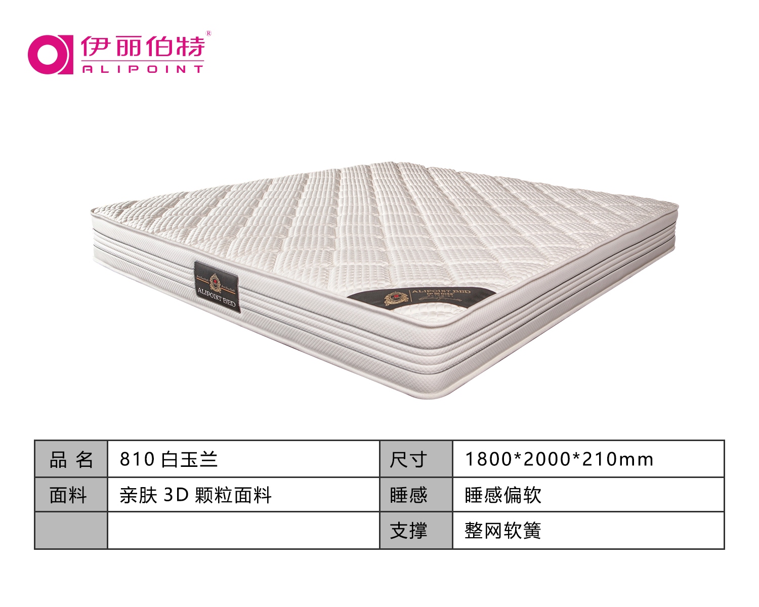 801白玉兰