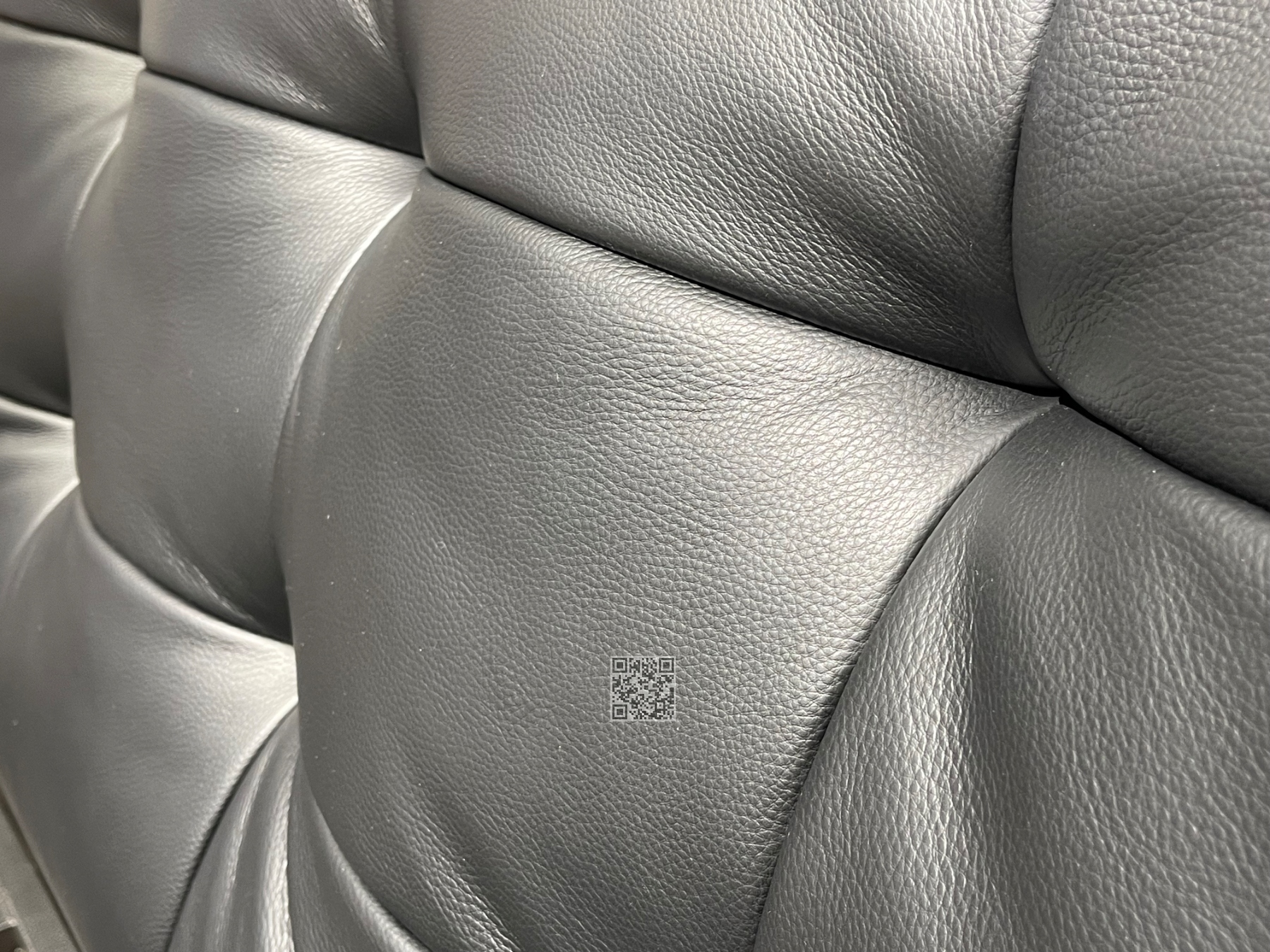 大黑熊# 大黑熊#