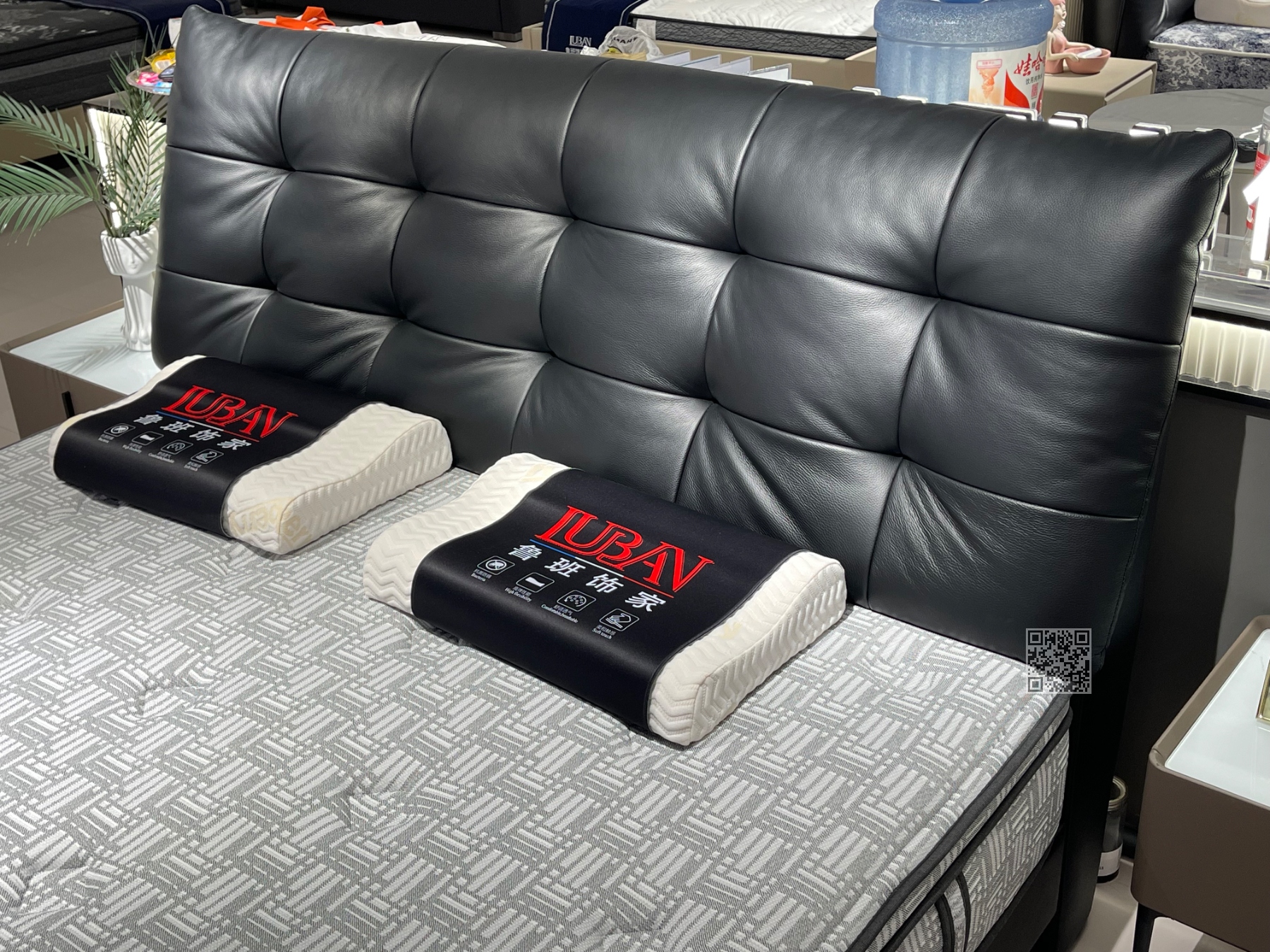 大黑熊# 大黑熊#