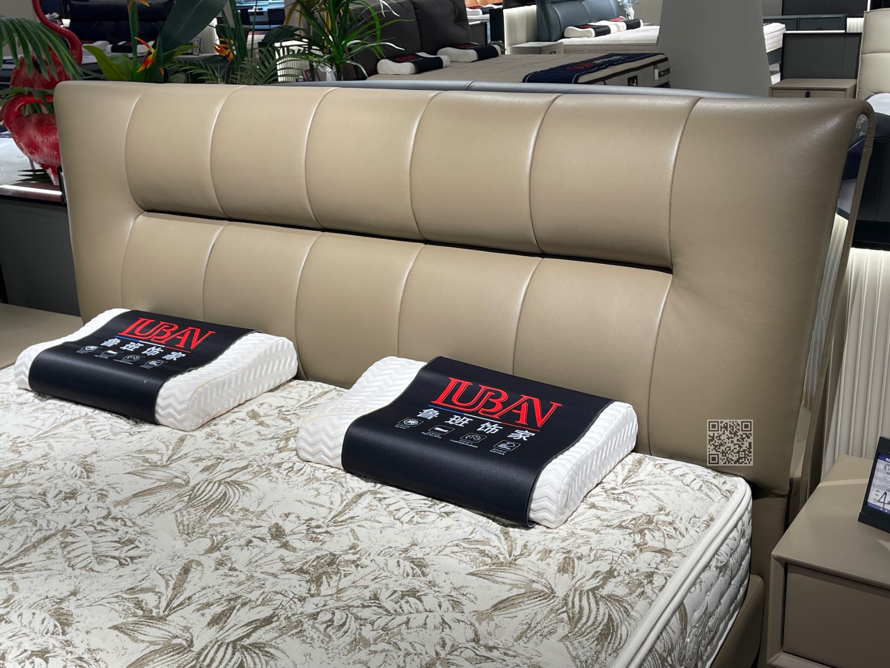 LC-舒逸# LC-舒逸#