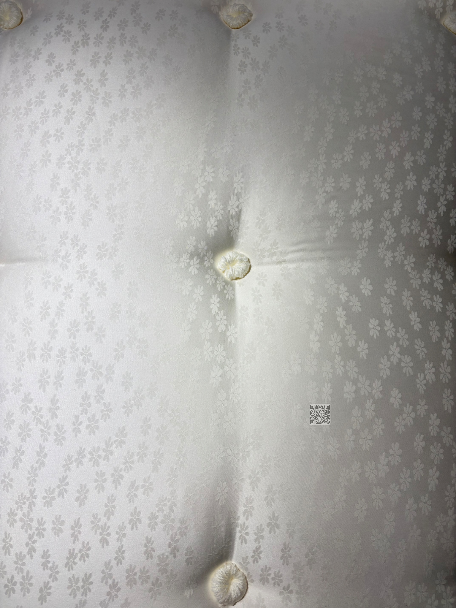 静棉 静棉