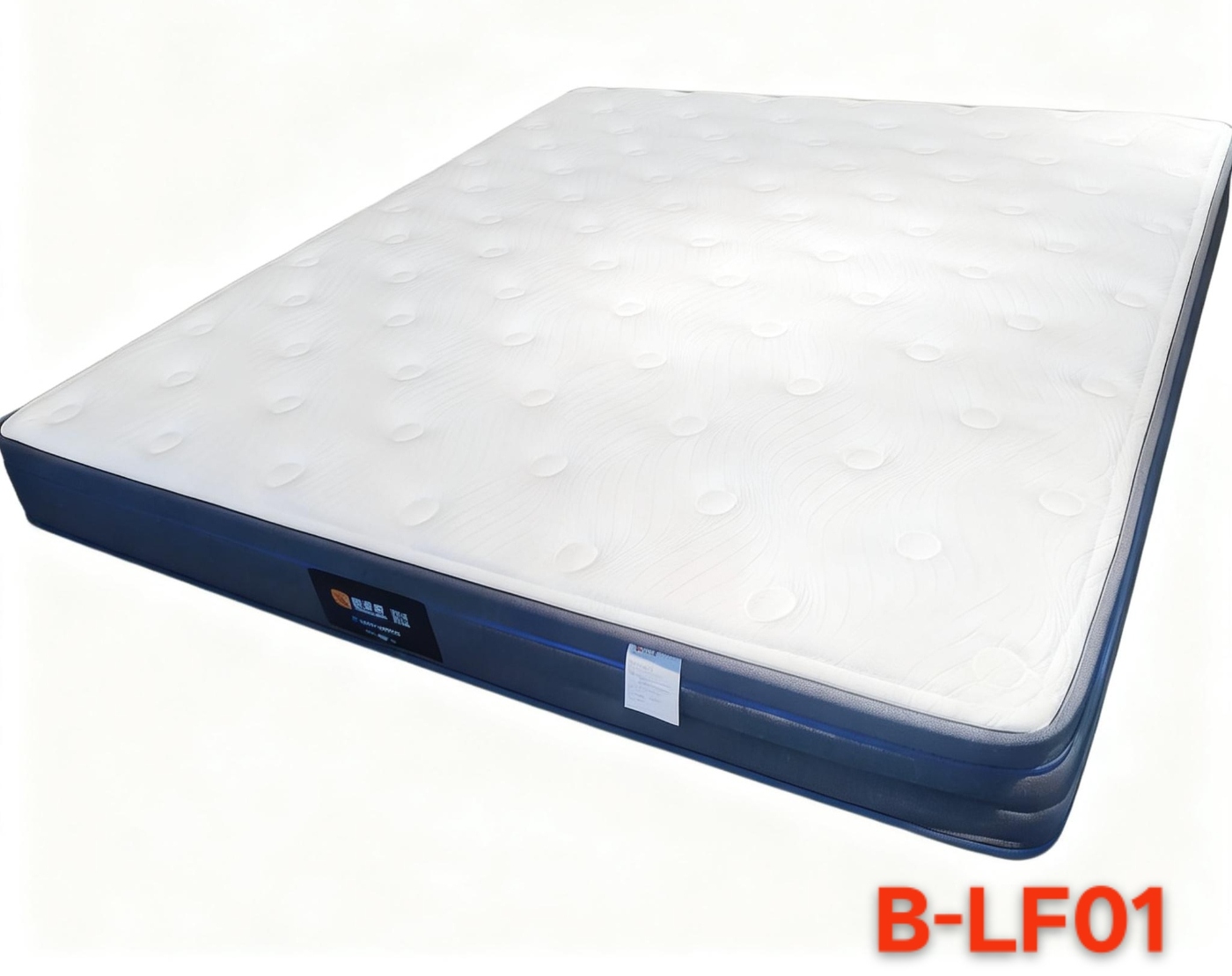 B-LF01