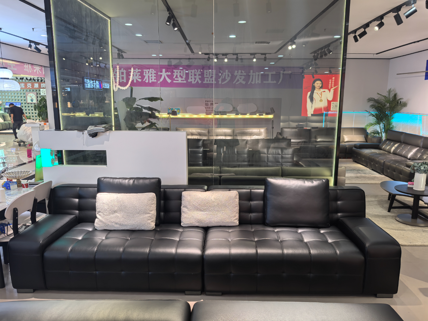 劳伦斯一31 劳伦斯一31