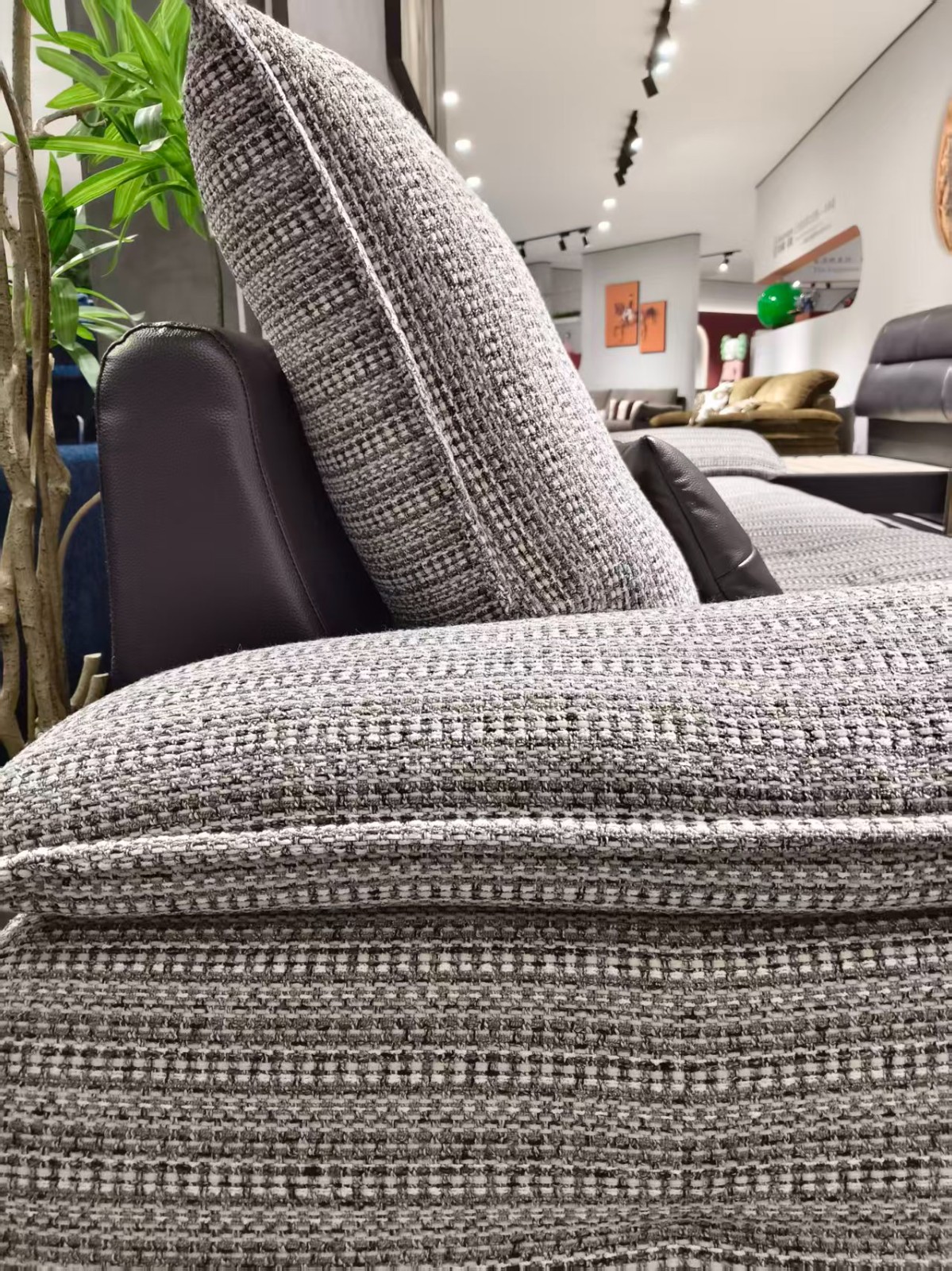 木林森·波西米亚