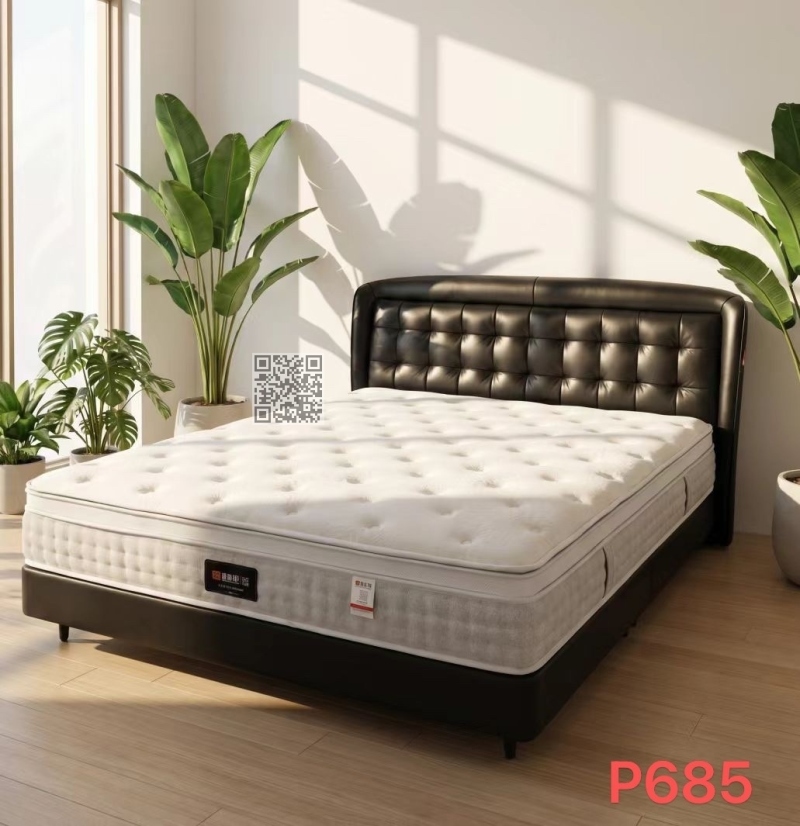 P685皮床