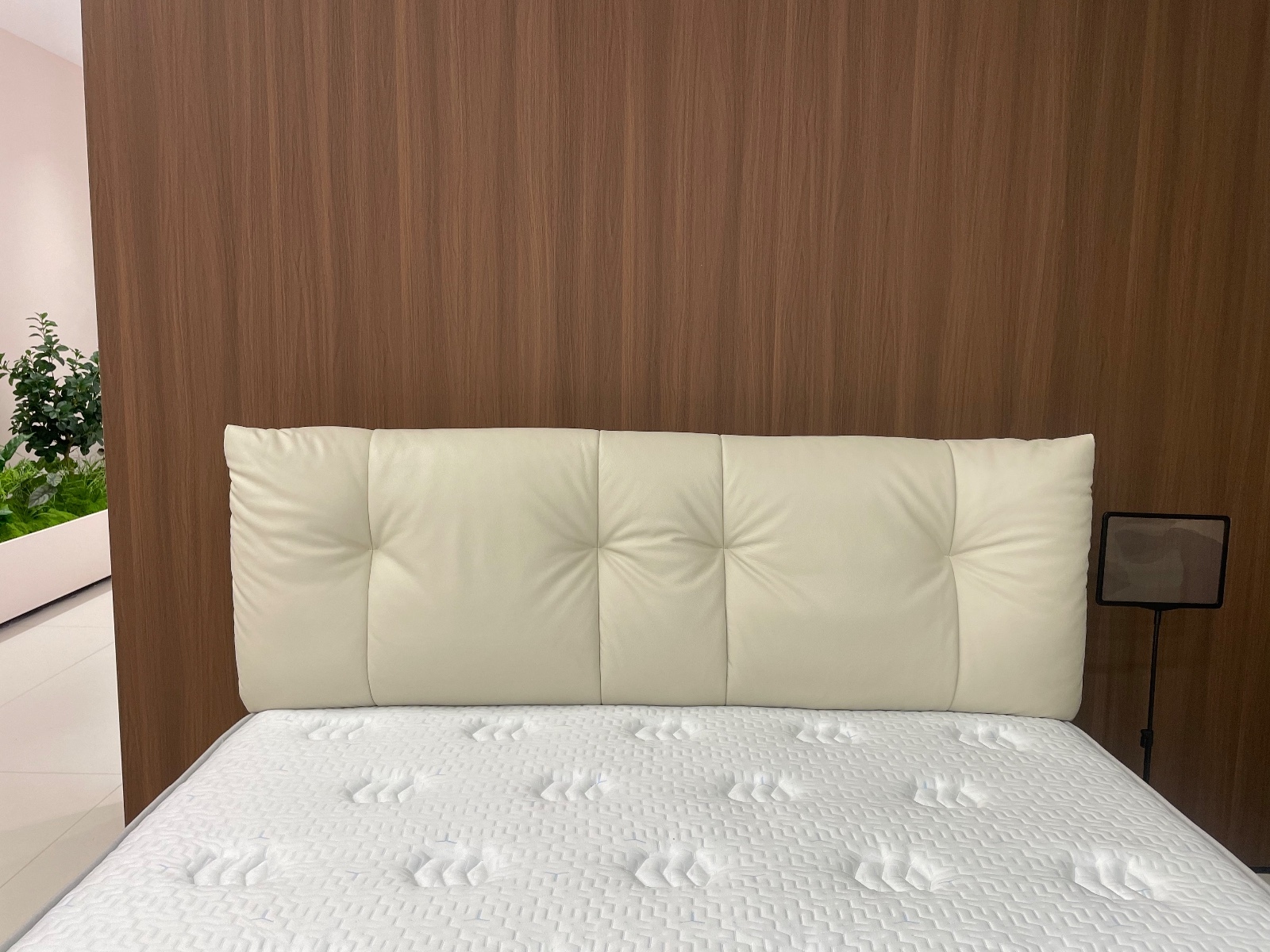 铂金5221 铂金5221