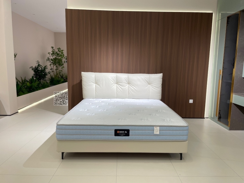 铂金5221
