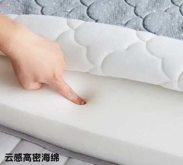 玫瑰5