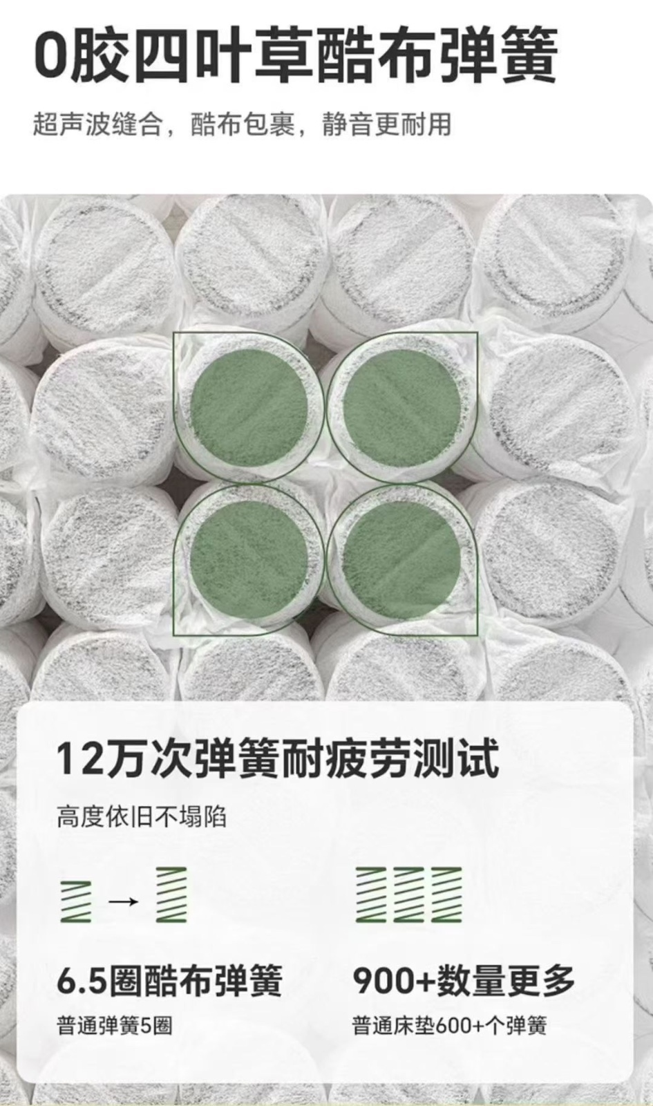 玫瑰6