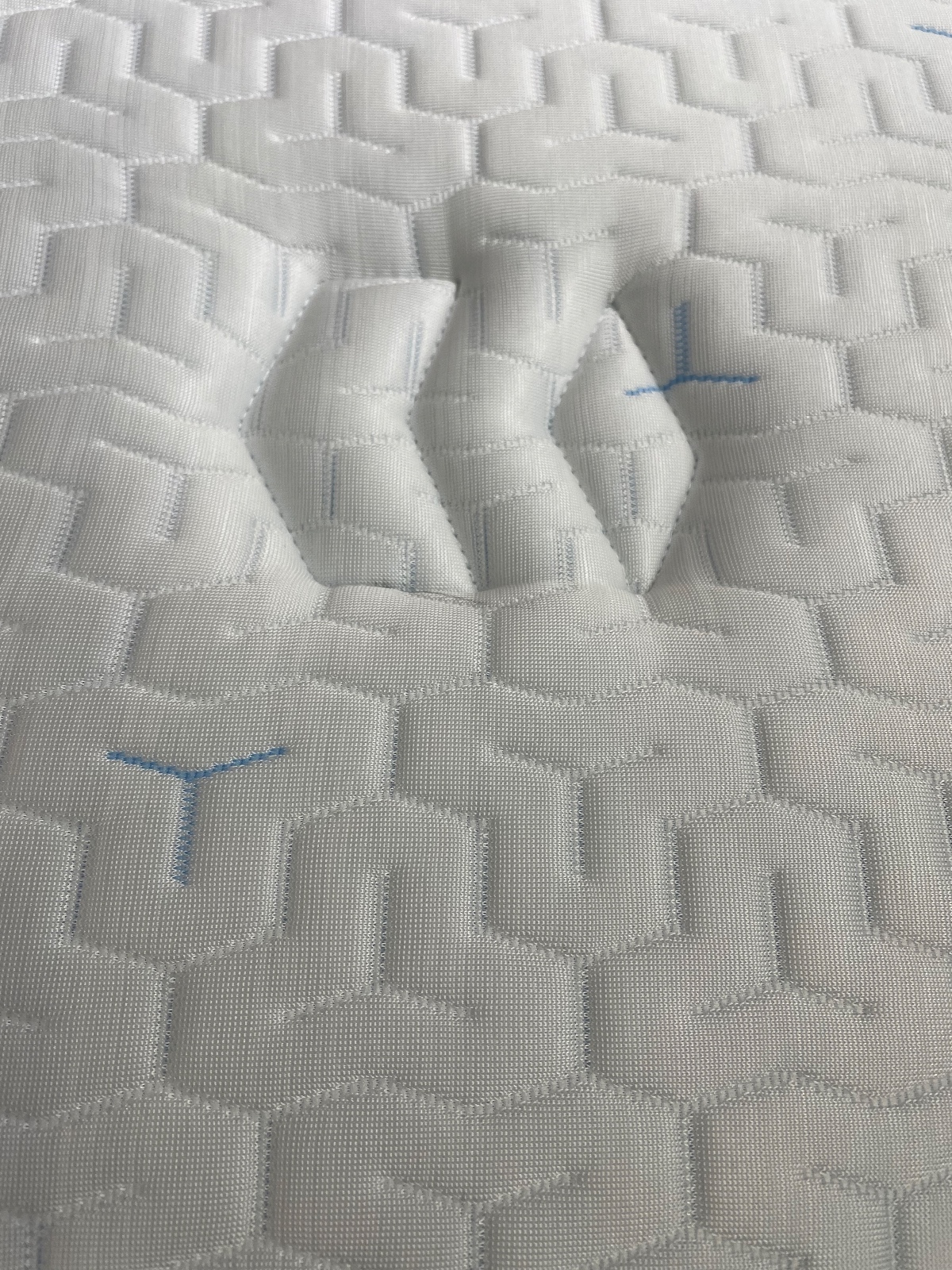 玫瑰10 玫瑰10